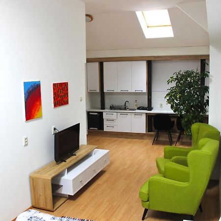 Krasny Priestranny Slnecny Apartman V Centre Mesta Trenčín Zewnętrze zdjęcie