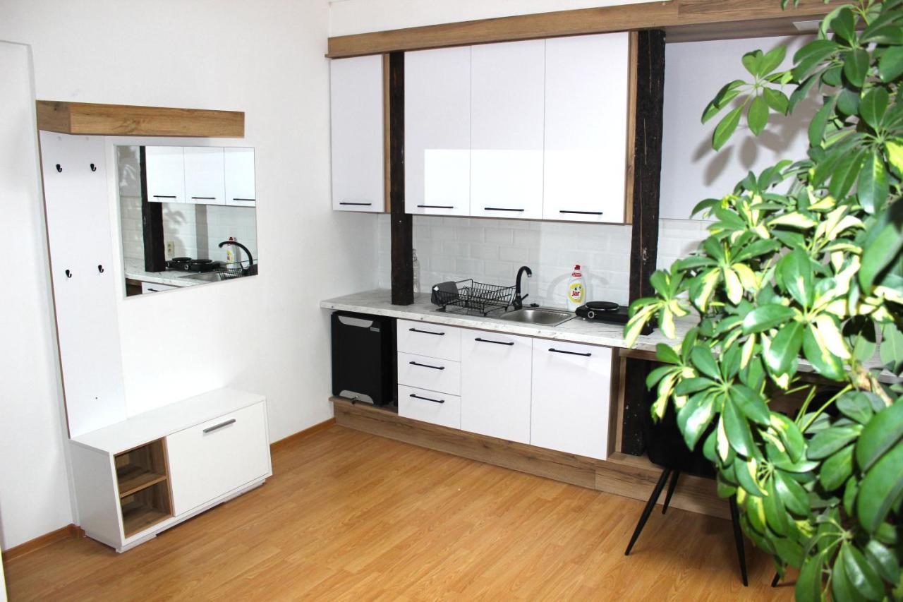 Krasny Priestranny Slnecny Apartman V Centre Mesta Trenčín Zewnętrze zdjęcie