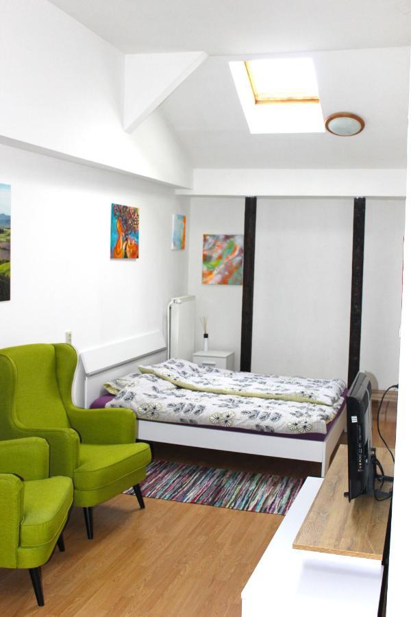 Krasny Priestranny Slnecny Apartman V Centre Mesta Trenčín Zewnętrze zdjęcie