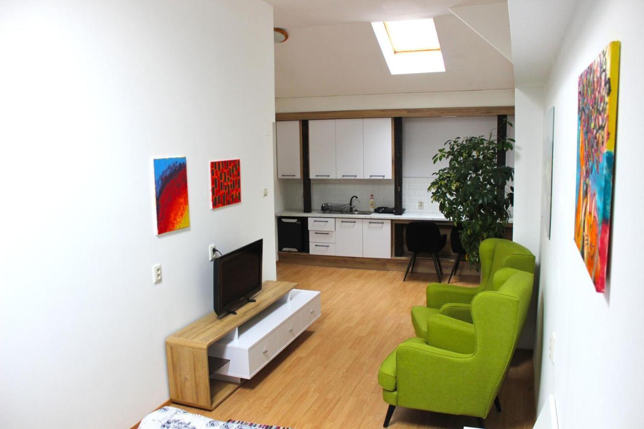 Krasny Priestranny Slnecny Apartman V Centre Mesta Trenčín Zewnętrze zdjęcie
